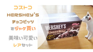 【コストコ】HERSHEY’Sチョコビッツをジャケ買い・美味い可愛いレアセット